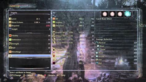 bloodborne level up guide.